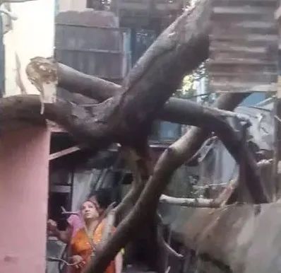 गोरेगांव में पीपल के पेड़ की बड़ी टहनी घर पर गिरी ; छत क्षतिग्रस्त 