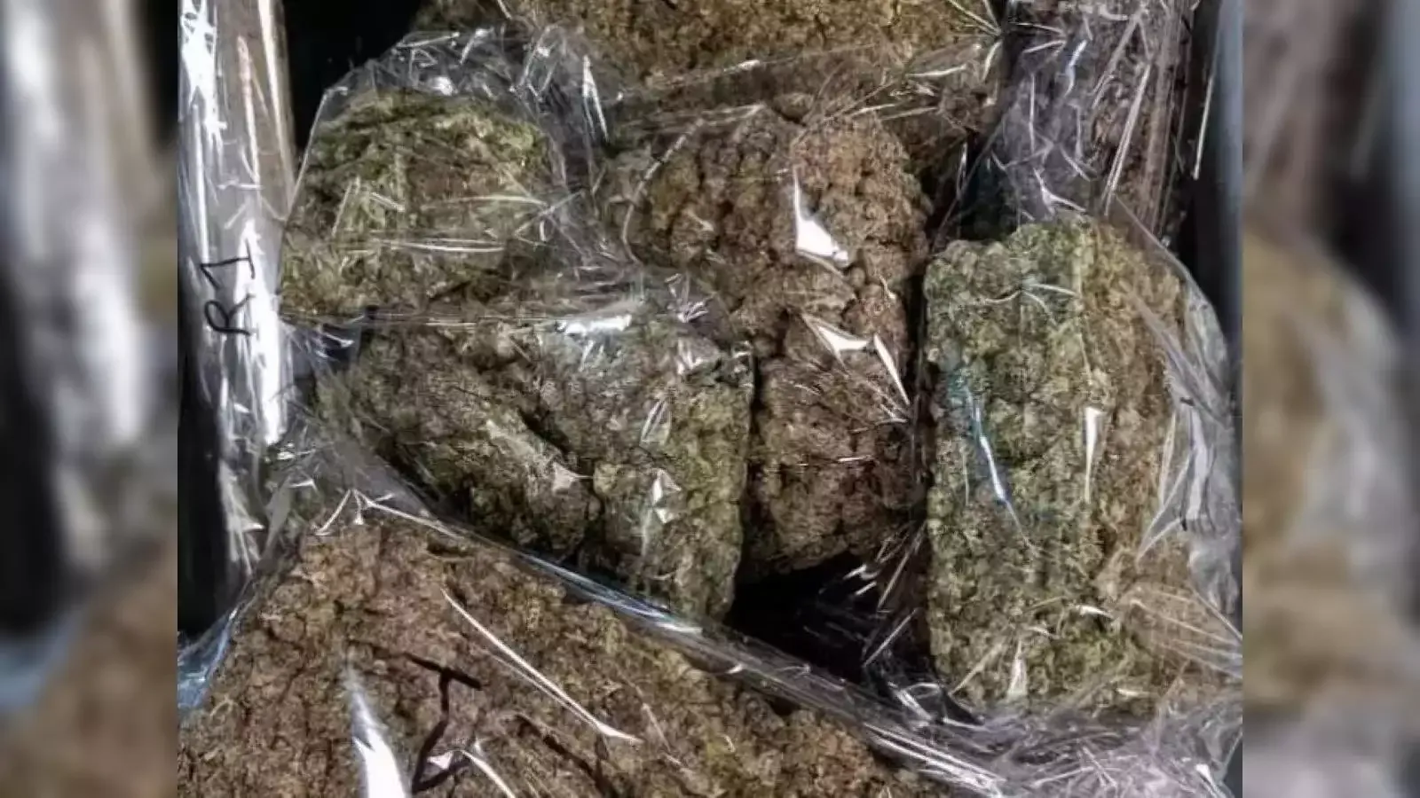 मुंबई: 9.52 लाख मूल्य का 38 किलोग्राम से अधिक मारिजुआना जब्त 