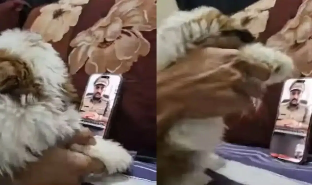 मुंबई :'डिजिटल अरेस्ट' सोशल मीडिया पर वायरल 