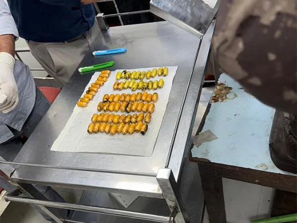 मुंबई एयरपोर्ट पर 21.97 करोड़ रुपये की 2197 ग्राम कोकीन जब्त; तीन युगांडा नागरिकों को हिरासत में लिया 