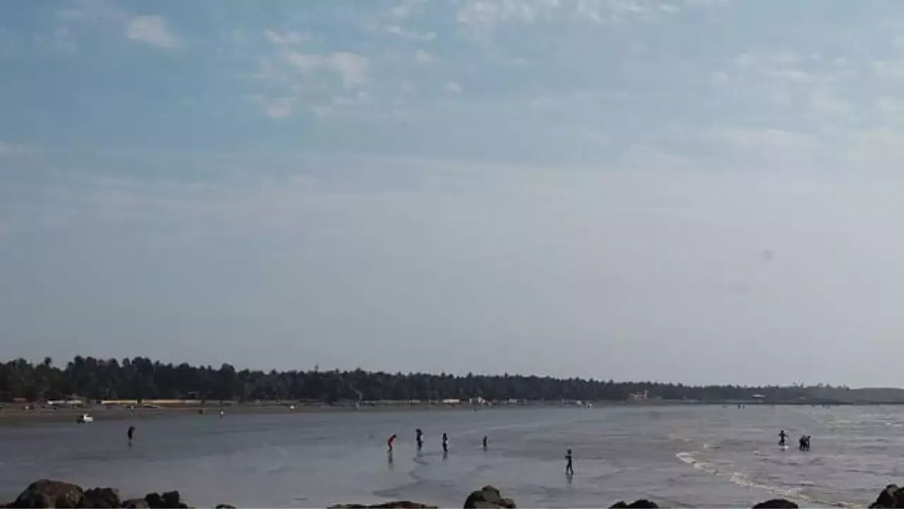 गोराई बीच पर शव मिला; सभी पुलिस स्टेशनों में तस्वीर प्रसारित 