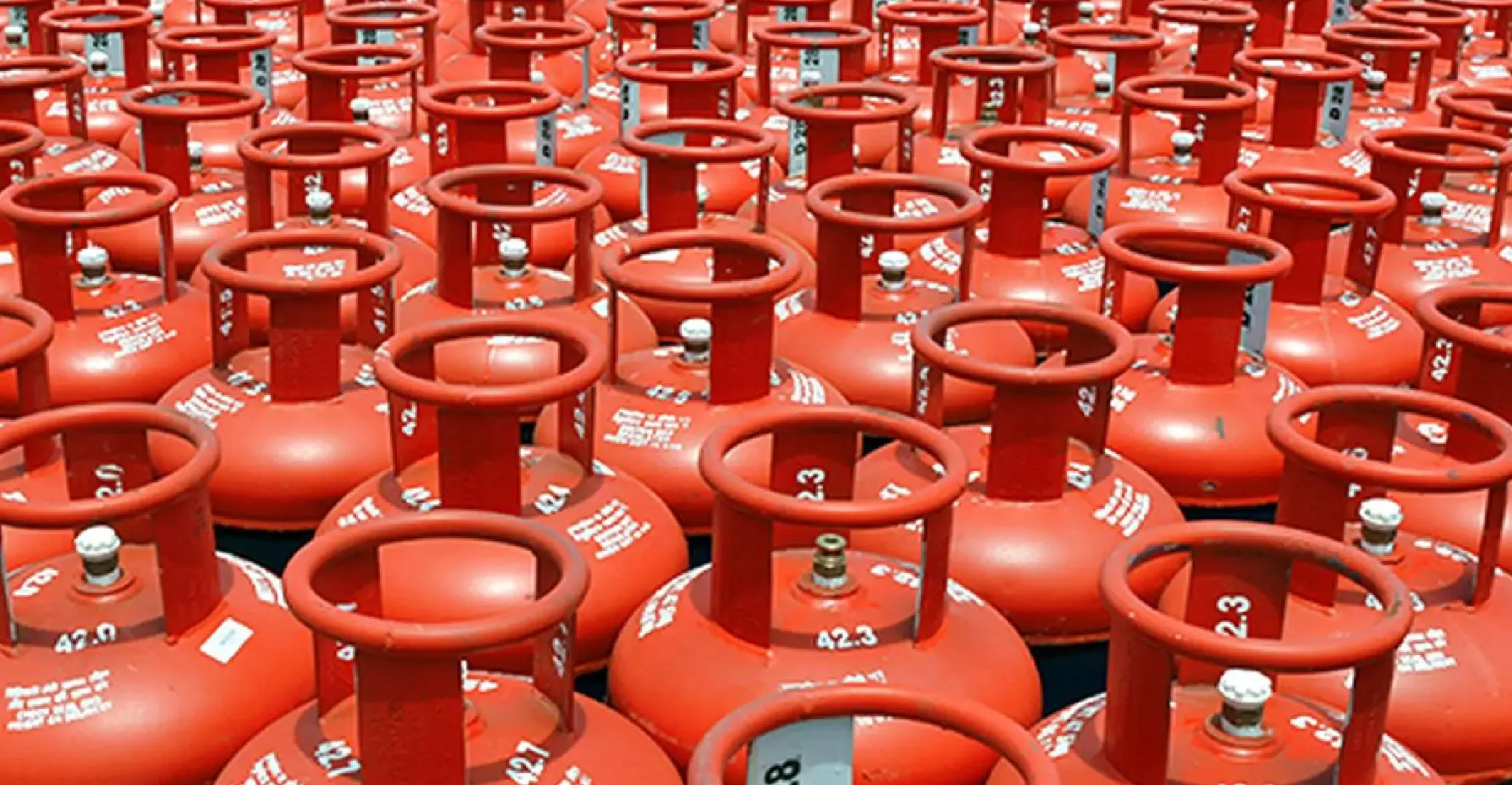 मुख्यमंत्री अन्नपूर्णा योजना के तहत 24 लाख 88 हजार 47 रसोई गैस सिलेंडर का वितरण