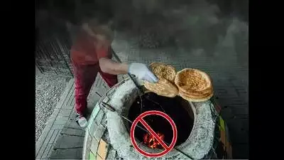 मुंबई में वायु प्रदूषण ; 8 जुलाई तक हरित ईंधन विकल्पों को अपनाने का निर्देश 