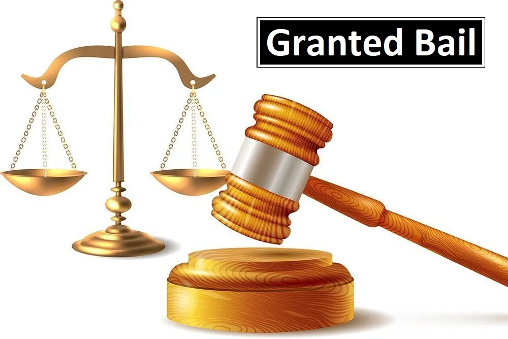 मुंबई: 70 लाख के निवेश धोखाधड़ी मामले में अपने दिवंगत पति की मदद; महिला को जमानत