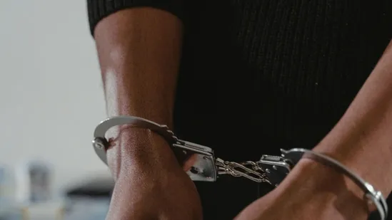 पालघर :  आपसी विवाद में अपनी प्रेमिका की हत्या करने के आरोप में व्यक्ति गिरफ्तार 