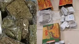 मुंबई : कस्टम की टीम ने गांजे की खेप पकड़ी 50.116 किलो गांजे की कीमत 50.116 करोड़ रुपये