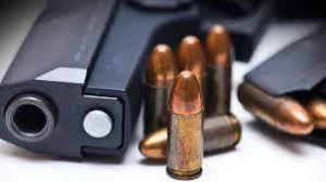 मुंबई : वडाला इलाके में दो युवकों को अवैध हथियारों के साथ गिरफ्तार किया