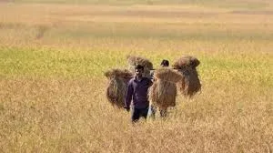 मुंबई: पीएम अन्नदाता आय संरक्षण अभियान के तहत समिति गठित करने का आदेश जारी