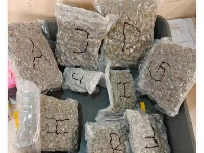 मुंबई एयरपोर्ट कस्टम्स ने 13.92 करोड़ रुपये की हाइड्रोपोनिक गांजा जब्त