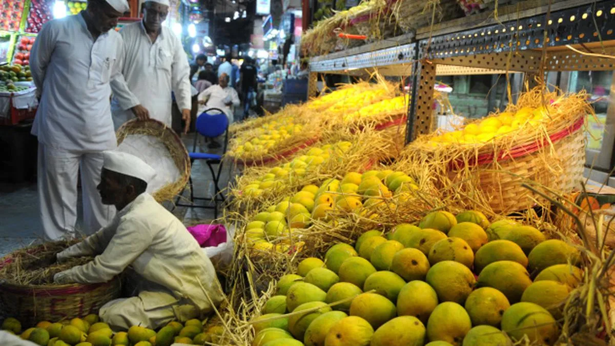 क्रॉफोर्ड मार्केट में आम के राजा हापुस (अल्फांसो) की आमद 