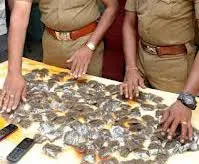 बांद्रा इलाके में पुलिस ने एक मकान पर छापा मारकर 71.68 लाख रुपये की कीमत का 286.68 किलोग्राम गांजा जब्त