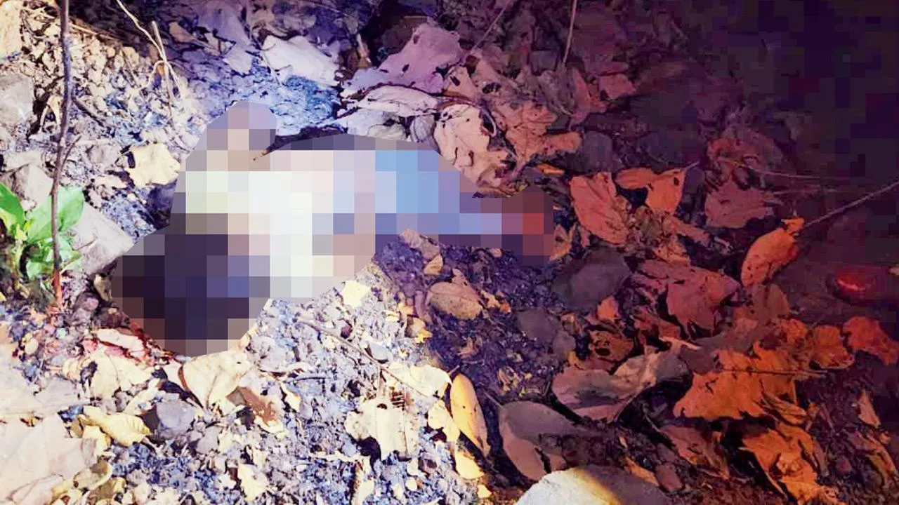 पालघर: फिल्म रमन राघव से प्रेरित होकर एक 13 साल के बच्चे ने अपनी चचेरी बहन की हत्या कर दी