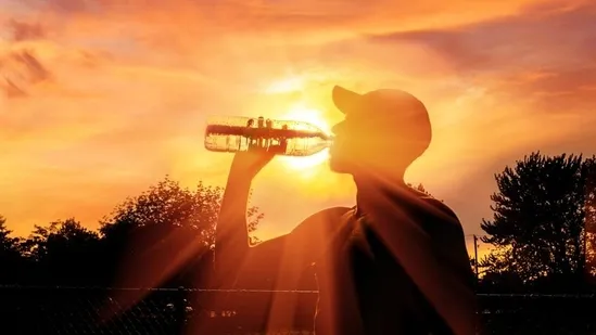 नई दिल्ली: मार्च में ही हीटवेव का रेड अलर्ट, इस साल लम्बा रह सकता है गर्मी का मौसम