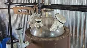 लातूर: कांस्टेबल कर रहा ड्रग्स फैक्ट्री का संचालन; 11 किलो 66 ग्राम मेफेड्रोन ड्रग्स जब्त, 14 दिन की पुलिस हिरासत