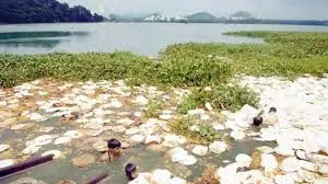 मुंबई : पवई झील का कायाकल्प; एनजीओ के साथ मिलकर 22 अप्रैल को झील की सफाई और संरक्षण अभियान