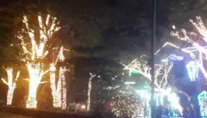 नवी मुंबई : पेड़ों को बिजली की रोशनी से सजाने पर रेस्तरां के खिलाफ सख्त कार्रवाई