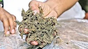 मुंबई : जनवरी से मार्च तक 677 किलोग्राम से ज़्यादा प्रतिबंधित पदार्थ जब्त;  404 लोग गिरफ़्तार