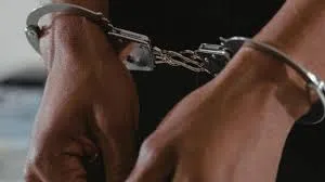 ठाणे : 48 लाख रुपये से अधिक कीमत के 242 ग्राम मेफेड्रोन पाउडर रखने के आरोप में व्यक्ति गिरफ्तार 