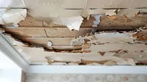 मुंबई : बेस्ट कालोनी में घर का प्लास्टर गिरने से महिला जख्मी 