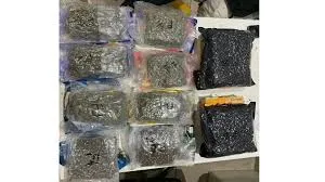 पुणे : पुणे एयरपोर्ट और मुंबई में की गई कार्रवाई; ₹10.3 करोड़ मूल्य की मादक दवा जब्त