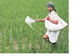 मुंबई : महाराष्ट्र के अरहर किसानों की लगी बम्पर लॉटरी...  सरकार दे रही बाजार से ज्यादा भाव, ठप्प हो गया पेमेंट सिस्टम