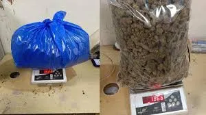 मुंबई: 8.6 करोड़ रुपये का हाइड्रोपोनिक गांजा जब्त; ड्रग तस्करी मामले में तीन गिरफ्तार 