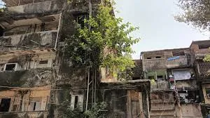 मुंबई: दक्षिण मुंबई की 96 सेस्ड बिल्डिंग बेहद खतरनाक; बिजली और पानी की आपूर्ति काटने का फैसला