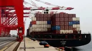 नवी मुंबई : न्हावा शेवा बंदरगाह पर नौ करोड़ रुपये का पाकिस्तानी सामान जब्त... 1 गिरफ्तार