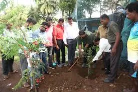 मुंबई क्रिकेट एसोसिएशन का क्रॉस मैदान में वृक्षारोपण अभियान