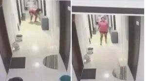 पुणे : महिला की क्रूरता, पालतू बिल्ली को पटकने का वीडियो वायरल 