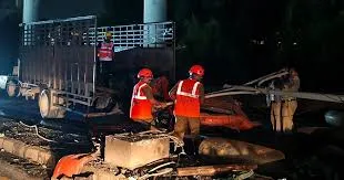 ठाणे : ट्रक बिजली के खंभे से टकरा गया; चालक और क्लीनर की मौत