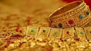 वसई : पार्षद के घर से ₹4 लाख मूल्य के सोने के आभूषण चुराने का संदेह; घरेलू सहायिका के खिलाफ मामला दर्ज 