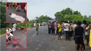 गढ़चिरौली में सड़क हादसे में चार नाबालिगों की मौत; दो घायल