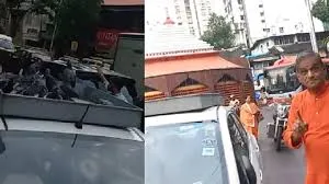 मुंबई : कबूतरों को दाना डालने पर मुंबई में केस दर्ज