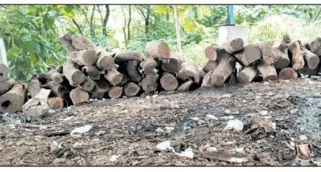 विरार : श्मशान घाट पर लकड़ियों की कमी... अंतिम संस्कार में 3 घंटे की देरी