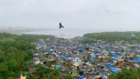 मुंबई : मढ के तटीय क्षेत्र  की निर्माण कार्यों से जुड़ी करीब २४ हजार फाइलें गायब; अदालत ने फटकार लगाते हुए उपनगर के जिलाधिकारी से स्पष्टीकरण मांगा