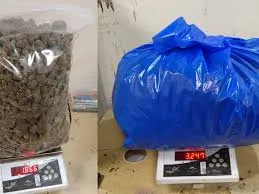 मुंबई : हाइड्रोपोनिक गांजा की तस्करी पर शिकंजा, मुंबई एयरपोर्ट पर 14 करोड़ का माल जब्त