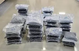 मुंबई : छत्रपति शिवाजी महाराज अंतर्राष्ट्रीय हवाई अड्डे पर 39.2 किलोग्राम हाइड्रोपोनिक जब्त 