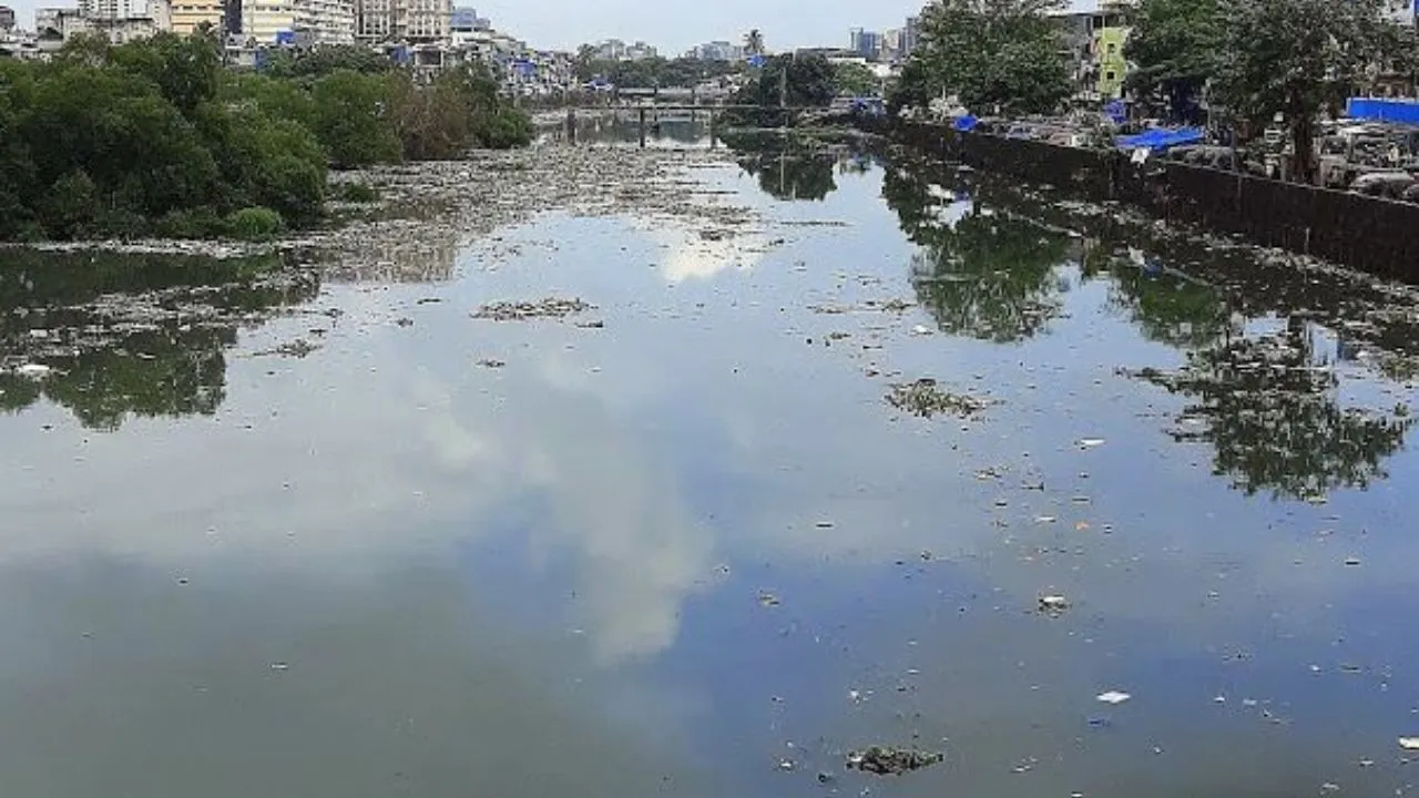 मुंबई : मनपा ने मीठी नदी की सफाई के लिए निकाला 1800 करोड़ का टेंडर...  खर्च में की गई 600 करोड़ की कटौती
