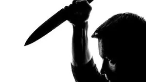  नवी मुंबई : मामूली विवाद खूनी झगड़े में बदल गया। इस विवाद में बिल्डिंग के सिक्योरिटी गार्ड की चाकू मारकर हत्या