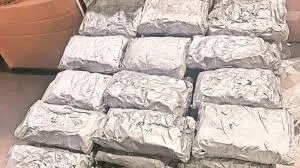 मुंबई : एयरपोर्ट बड़ी कार्रवाई; तीन अलग अलग मामलों में 34 करोड़ की हाइड्रोपोनिक वीड पकड़ी 