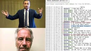 नई दिल्ली : दोषी सेक्स ट्रैफिकर जेफरी एपस्टीन और भारतीय बिजनेसमैन अनिल अंबानी के बीच “कई ईमेल” का लेन-देन हुआ था - एक्टिविस्ट-वकील प्रशांत भूषण 