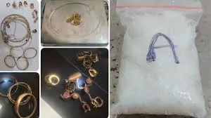 मुंबई एयरपोर्ट पर कस्टम ने 48 करोड़ रुपये कीमत का 48 किलो से ज़्यादा हाइड्रोपोनिक वीड ज़ब्त किया