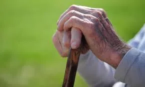 मुंबई : वरिष्ठ नागरिक कानून का दुरुपयोग नहीं किया जा सकता; सीनियर सिटीजन ट्रिब्यूनल के दो आदेश रद्द