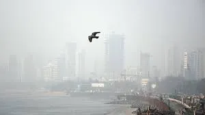 मुंबई : हवा की गुणवत्ता लगातार खराब; अंधेरी ईस्ट और वेस्ट के जमीनी हालात बीएमसी के रिकॉर्ड हकीकत से मेल नहीं खाते