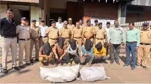 ठाणे : ड्रग डीलरों के खिलाफ एक और बड़ी सफलता ;  14 आरोपियों को गिरफ्तार किया, 35 किलो 400 ग्राम गांजा और पिस्टल जब्त