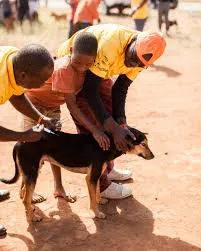 ठाणे में मिशन रेबीज़ टीम का इंतज़ार करते केयरगिवर्स 