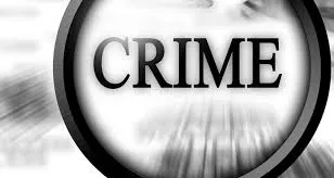 सोलन : मां-बेटे ने फर्जी डिग्री देकर कमाए ₹387 करोड़; देश छोड़कर भागे दोनों आरोपी, भगोड़ा घोषित