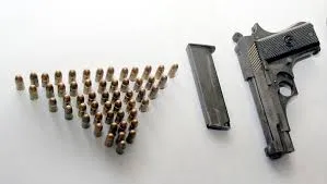 मुंबई : फायरिंग के आरोपी के घर से गैर-कानूनी हथियार, ग्रेनेड बरामद; 