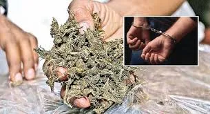 नवी मुंबई में 10 किलो गांजा के साथ दो लोग गिरफ्तार